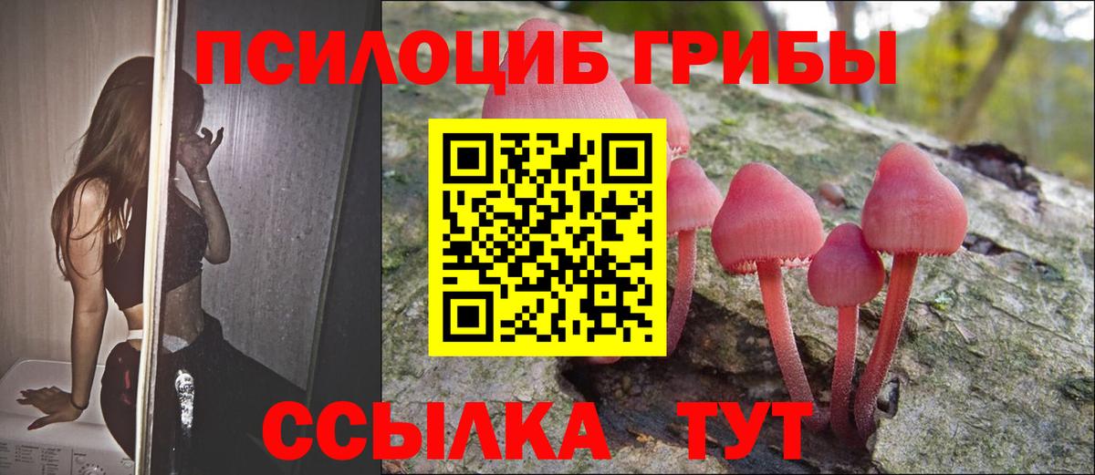 Лянтор  Псилоцибиновые грибы прущие грибы  Псилоцибиновые грибы Psilocybine cubensis  Вход с VPN 